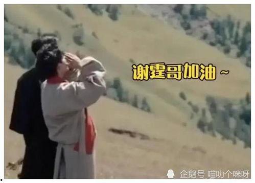 吃瓜娱乐爆料姐弟恋视频,姐弟恋视频曝光，甜蜜互动引网友热议