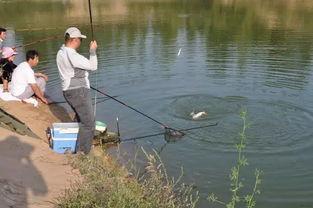 娱乐吃瓜钓鱼视频下载安装