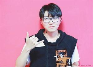 高毛资料,揭秘高毛资料背后的商业传奇